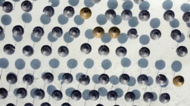 Deniz kenarında şemsiyeleri olan boş kumlu bir sahil, güneşli bir hava. Tatiller ve tatiller yazın cennet kıyısında, Aerial view, Kıbrıs.