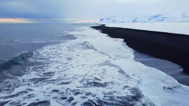 Playa Negra Con Arena Volcánica Islandia Helado Día Invierno Famoso — Vídeo de stock