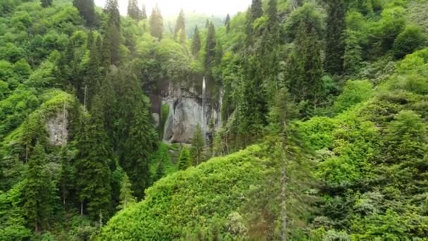 Piękny Letni Wodospad Lesie Magiczny Poranny Krajobraz Słonecznej Pogodzie Wysokiej — Wideo stockowe