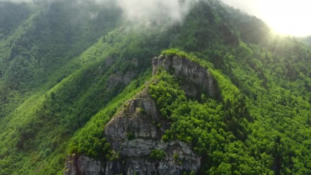 Météo Pluvieuse Montagne Brouillard Brumeux Soufflant Sur Forêt Vue Aérienne — Video