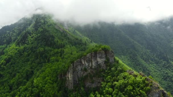 山の中で雨の天気 霧霧の森の上を吹いている 空中ビューの風景 夏の日に山の丘の上の木 高品質4K映像 — ストック動画