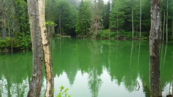 Piękny Niezwykły Krajobraz Magical Morning Misty Forest Martwe Drzewa Jeziorze — Wideo stockowe