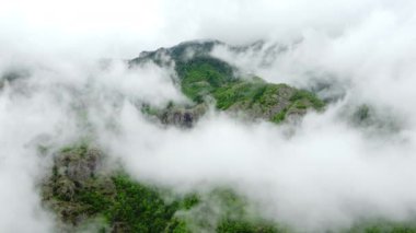 Dağ ormanlarında güzel bulutlar. Ağaçların üzerinden esen sisli hava manzarası. Yaz ormanında sabah sisi. Yüksek kalite 4k görüntü