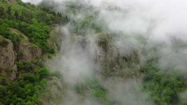 Schöne Wolken Bergwald Nebelschwaden Wehen Über Bäume Aus Der Vogelperspektive — Stockvideo
