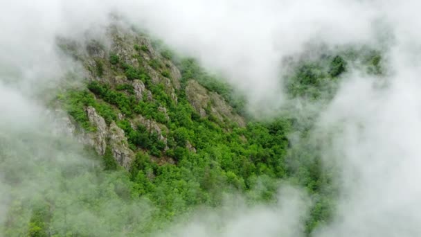 Schöne Wolken Bergwald Nebelschwaden Wehen Über Bäume Aus Der Vogelperspektive — Stockvideo