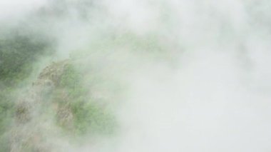 Yaz ormanı dağın tepesinde, hava manzaralı, bulutların üzerinden uçan, güzel doğal arka plan