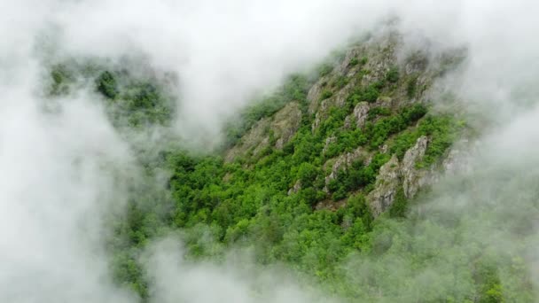 Letní Les Mountain Top Dolů Letecký Výhled Fly Clouds Krásné — Stock video