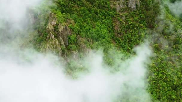 Aerial View Mountain Green Forest Covered Fog Outdoor Summer Travel — Stockvideo
