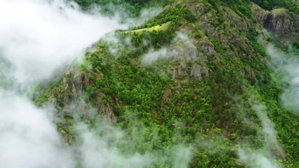 Вид Воздуха Зеленый Горный Лес Покрытый Туманом Летняя Туристическая Концепция — стоковое видео