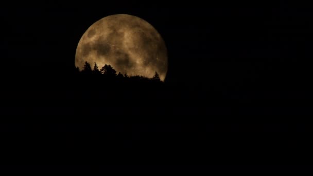 Луна Облаками Ночном Небе Над Горным Лесом Мистическая Таинственная Огромная — стоковое видео