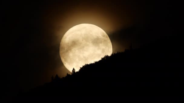 Luna Nori Cerul Nopții Deasupra Pădurii Montane Mistică Misterioasă Natură — Videoclip de stoc