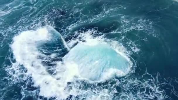 Iceberg Ocean Huge Chunks Blue Ice Floating Waves Arctic Landscape — Stock Video