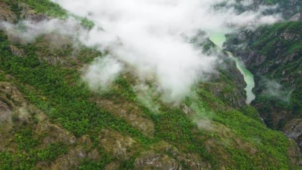 Letni Las Górski Widokiem Góry Rzeki Dół Powietrza Latać Nad — Wideo stockowe