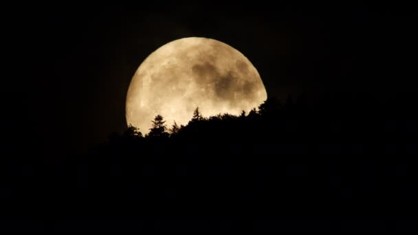 Луна Облаками Ночном Небе Над Горным Лесом Мистическая Таинственная Огромная — стоковое видео