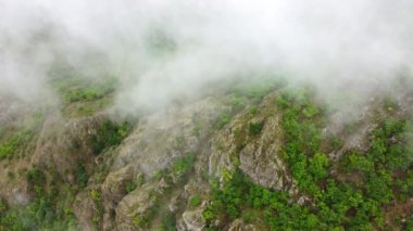 Dağ yeşil ormanın üzerinde doğa bulutları güzel havadan manzaralı. Yüksek kalite 4k görüntü