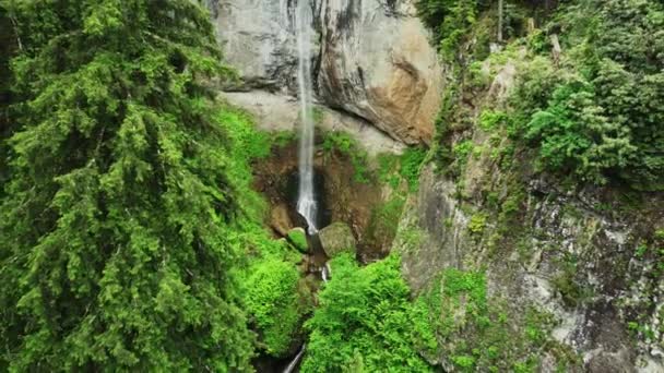 Cascade Naturelle Forêt Verdoyante Montagne Rayons Soleil Magiques Matin Paysage — Video
