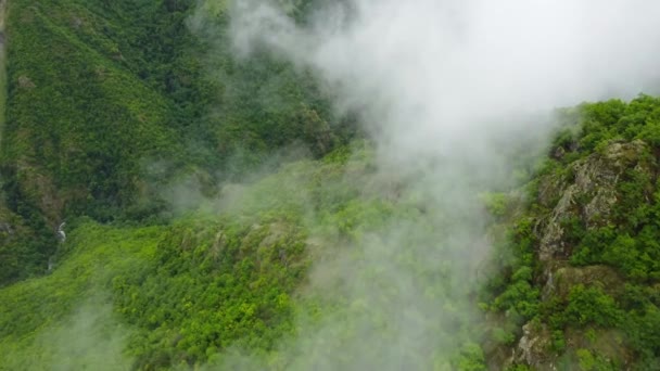 Natur Wolken Über Berggrün Wald Schöne Luftaufnahme Landschaft Hochwertiges Filmmaterial — Stockvideo