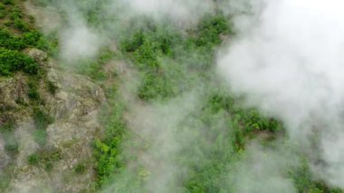 Yaz ormanı dağın tepesinde, hava manzaralı, bulutların üzerinden uçan, güzel doğal arka plan