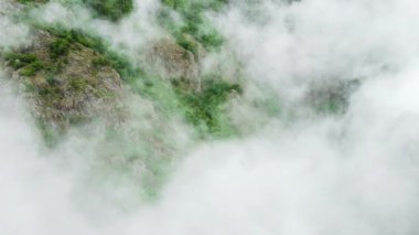 Yaz ormanı dağın tepesinde, hava manzaralı, bulutların üzerinden uçan, güzel doğal arka plan