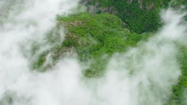 Yaz ormanı dağın tepesinde, hava manzaralı, bulutların üzerinden uçan, güzel doğal arka plan