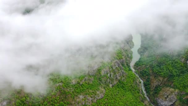 Bosque Montañoso Verano Con Vista Aérea Arriba Abajo Del Río — Vídeos de Stock