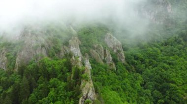 Güzel yaz dağlarının üzerindeki bulutlar yeşil orman, büyülü doğal sabah sisi arka plan 4k