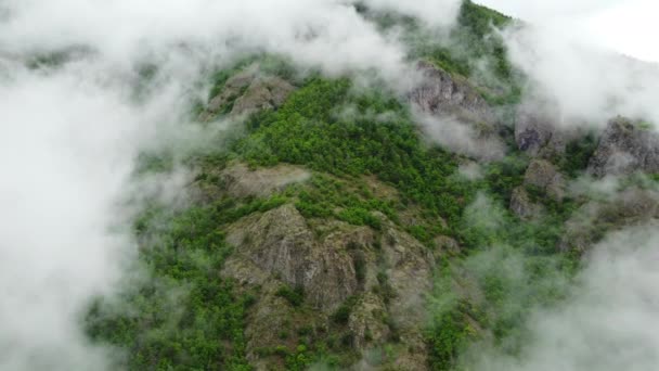 Clouds Beautiful Summer Mountains Green Forest Magical Natural Morning Fog — Vídeo de Stock