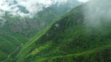 Güzel yaz dağlarının üzerindeki bulutlar yeşil orman, büyülü doğal sabah sisi arka plan 4k