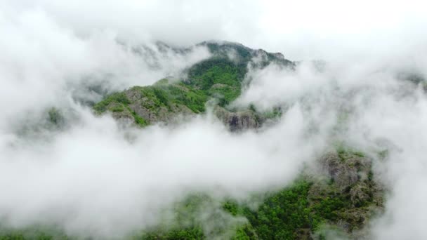 Nubes Sobre Hermosas Montañas Verano Bosque Verde Mágico Natural Mañana — Vídeos de Stock