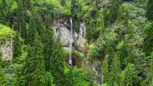 自然瀑布落在青翠的山林里 早上神奇的阳光 生态上干净 没有接触过树木的风景 空中景观 高质量的4K镜头 — 图库视频影像