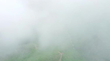 Dağ ormanlarında güzel bulutlar. Ağaçların üzerinden esen sisli hava manzarası. Yaz ormanında sabah sisi. Yüksek kalite 4k görüntü
