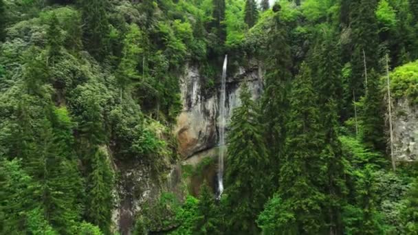 Cascade Naturelle Forêt Verdoyante Montagne Rayons Soleil Magiques Matin Paysage — Video