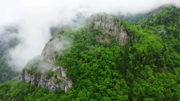 山の森の中の美しい雲 霧の霧の木の空中トップビューの風景の上に吹いている 夏の森の朝の霧 高品質4K映像 — ストック動画