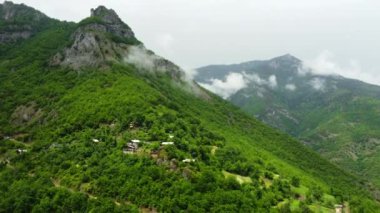 Dağ ormanlarında güzel bulutlar. Ağaçların üzerinden esen sisli hava manzarası. Yaz ormanında sabah sisi. Yüksek kalite 4k görüntü