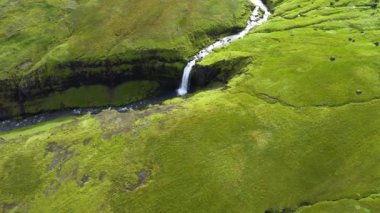 Yazın İzlanda 'da doğa nehri sihirli yeşil hava manzarası. Yüksek kalite 4k görüntü