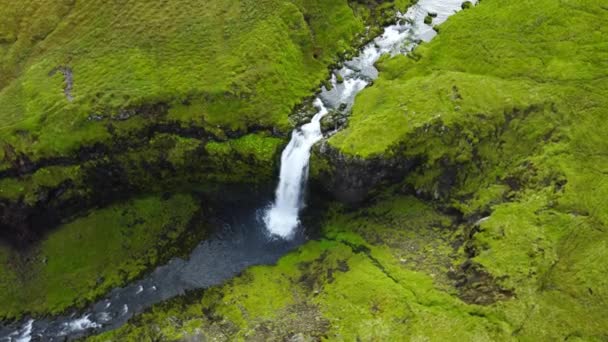 Rio Natureza Verão Islândia Paisagem Aérea Verde Mágico Imagens Alta — Vídeo de Stock