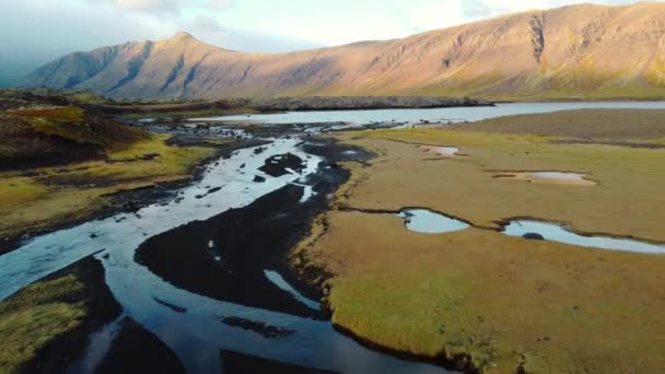 Vulkanisch Ijsland Landschap Herfst Seizoen Geel Mos Vreemde Rivier Luchtfoto — Stockvideo