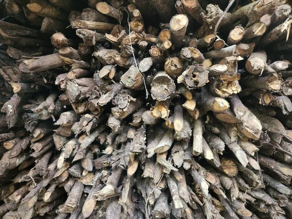 Piles of firewood from tree trunks arranged on top of each other