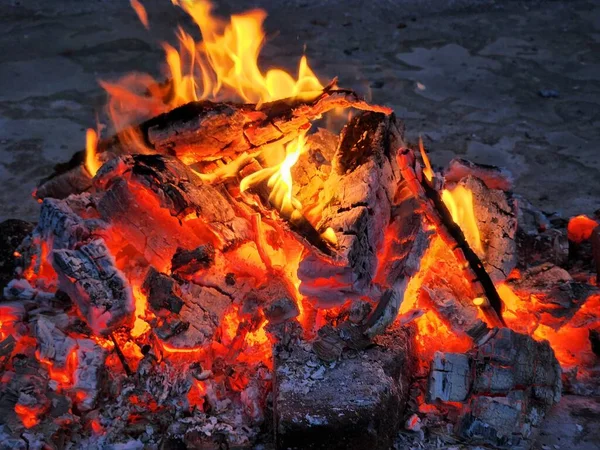 Fires Burn Wood — Stock Photo, Image