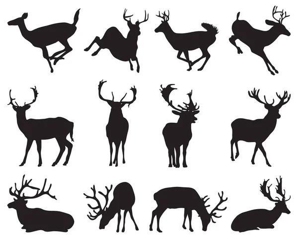 Silhouettes Noires Graphiques Cerfs Sauvages Sur Fond Blanc Vecteurs De Stock Libres De Droits