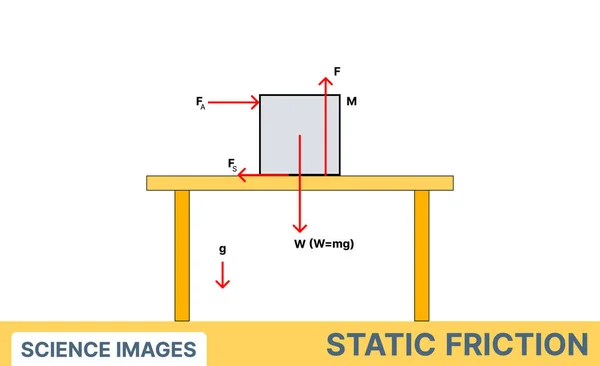 Static Friction Types Frictions Physics Vectors Forces Physics Forces Physics — Stock Vector