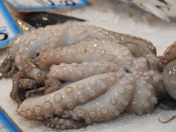 Poisson Frais Exposé Sur Comptoir Marché Sur Île Egine Grèce — Photo