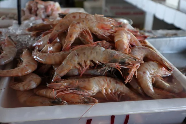 Shrimps Cubes Ice Raw Prawns Lying Ice Delicacy Seafood Cafe — Photo