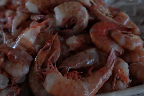 Shrimps Cubes Ice Raw Prawns Lying Ice Delicacy Seafood Cafe — Stockfoto
