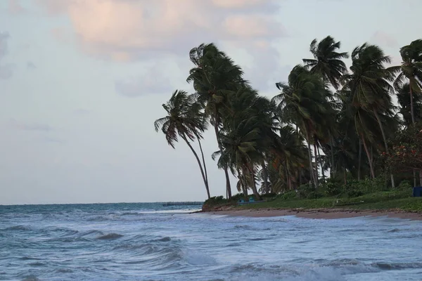 Vacation on paradise beach in Brazil. Sao Miguel dos Milagres, Alagoas, Brazil. Fantastic landscape. Great beach scene. Miracle Route. High quality photo