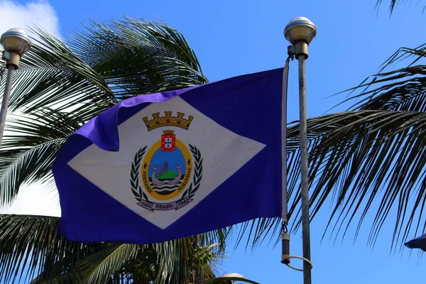 Fernando Noronha Waving Flag Coconut Palm Blue Sky Background Sunny — Fotografia de Stock