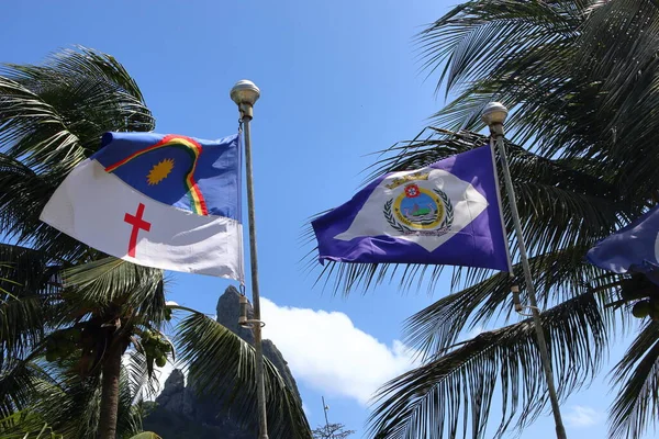 Пернамбуку Фернандо Норонья Размахивают Флагами Фоне Кокосовой Пальмы Голубого Неба — стоковое фото
