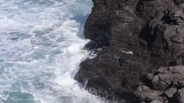 Red Sally Lightfoot Crabs Wet Lava Rock Buffeted Waves Sea — Vídeo de Stock
