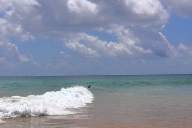 Perfect waves, Cacimba beach, Fernando de Noronha island, Brazil. High quality photo