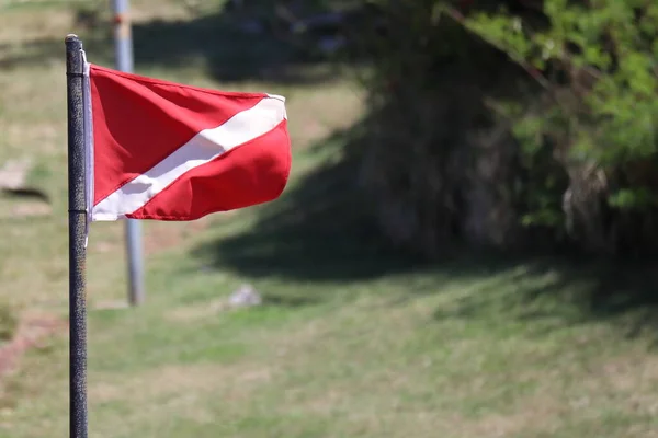 Дайвер Вниз Флаг Травой Заднем Плане Высокое Качество Фото — стоковое фото